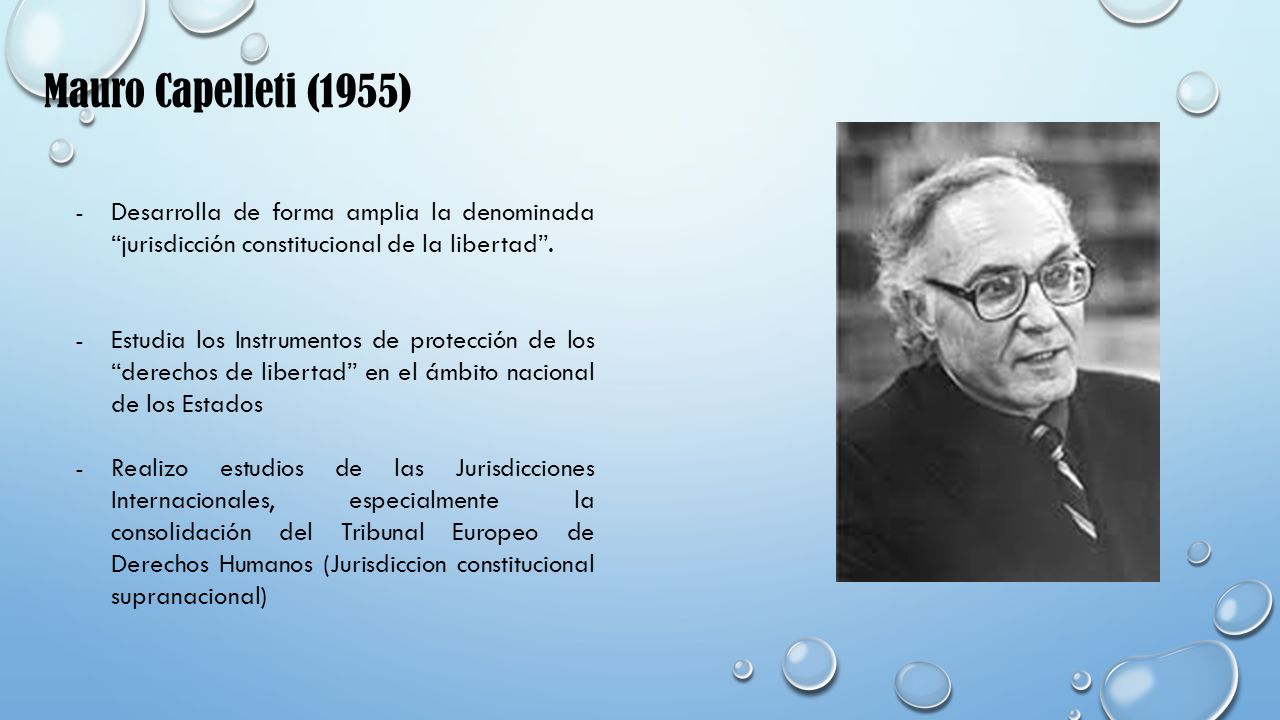 Mauro Capelleti (1955) Desarrolla de forma amplia la denominada jurisdicción constitucional de la libertad .