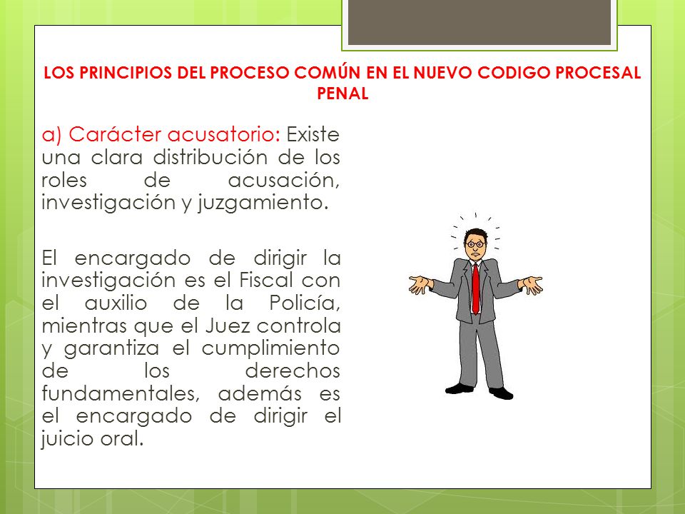 LOS PRINCIPIOS DEL PROCESO COMÚN EN EL NUEVO CODIGO PROCESAL PENAL