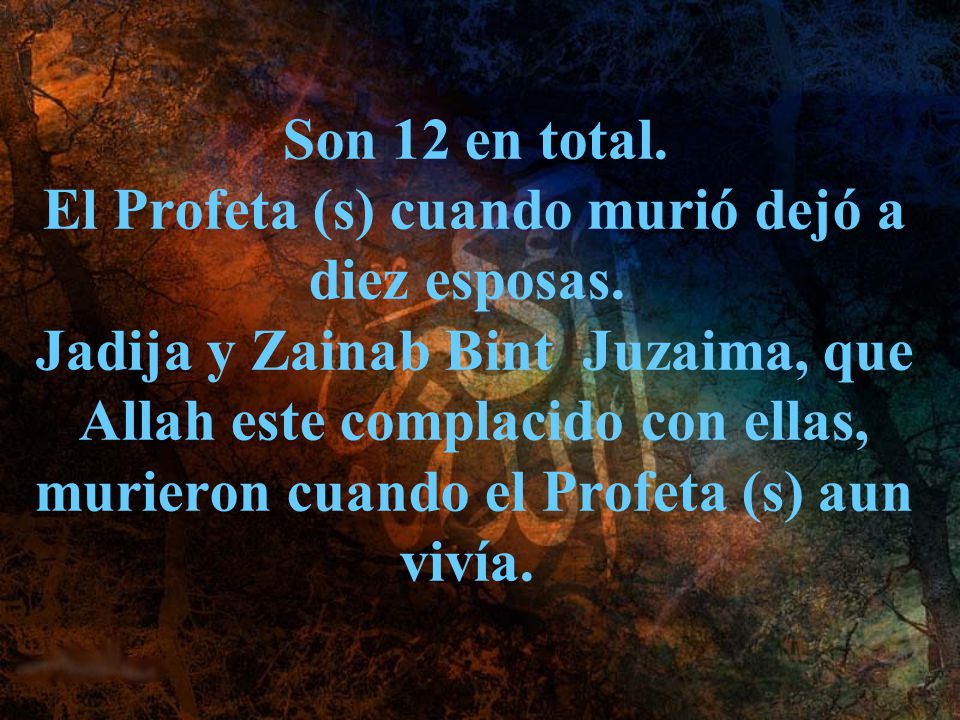 Son 12 en total. El Profeta (s) cuando murió dejó a diez esposas