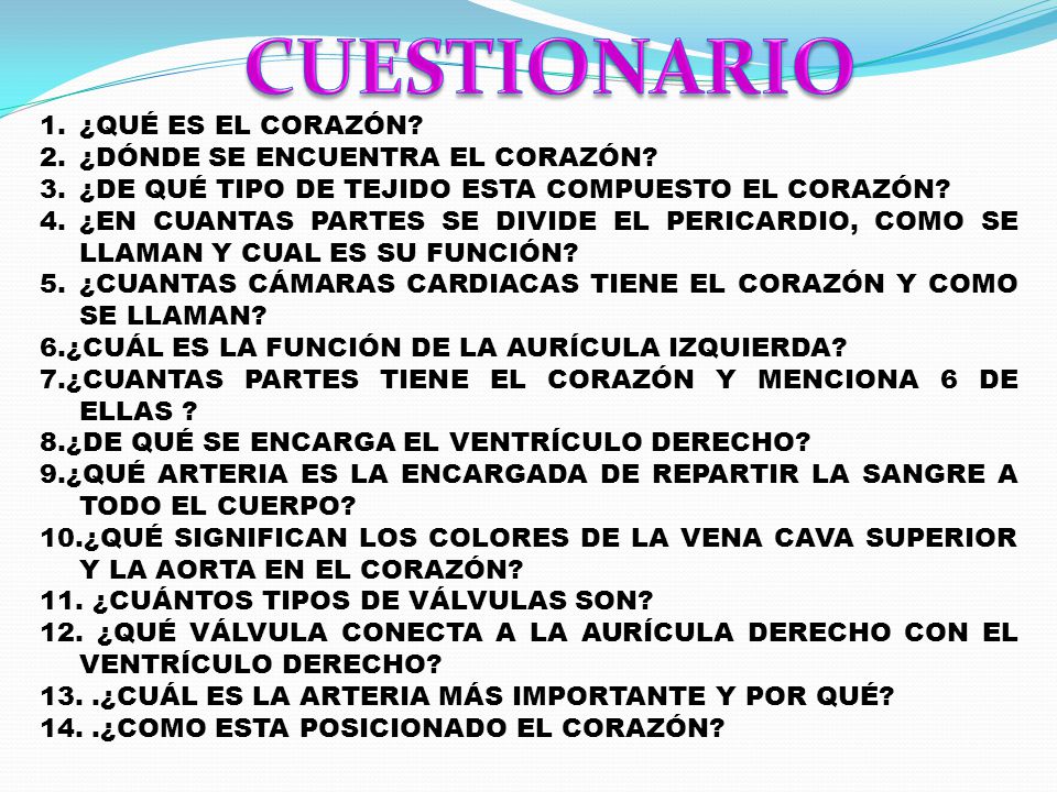 CUESTIONARIO ¿QUÉ ES EL CORAZÓN ¿DÓNDE SE ENCUENTRA EL CORAZÓN