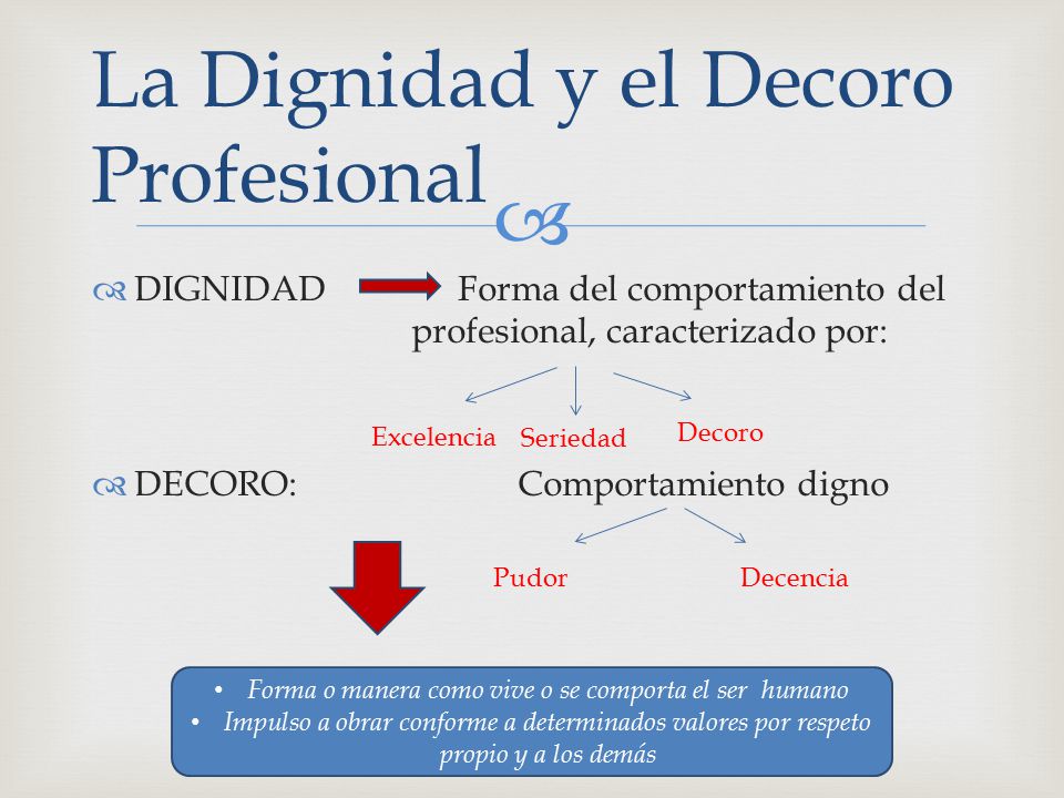 EL PRINCIPIO DE DIGNIDAD Abg. Alexander Joao Peñaloza M - ppt video online  descargar