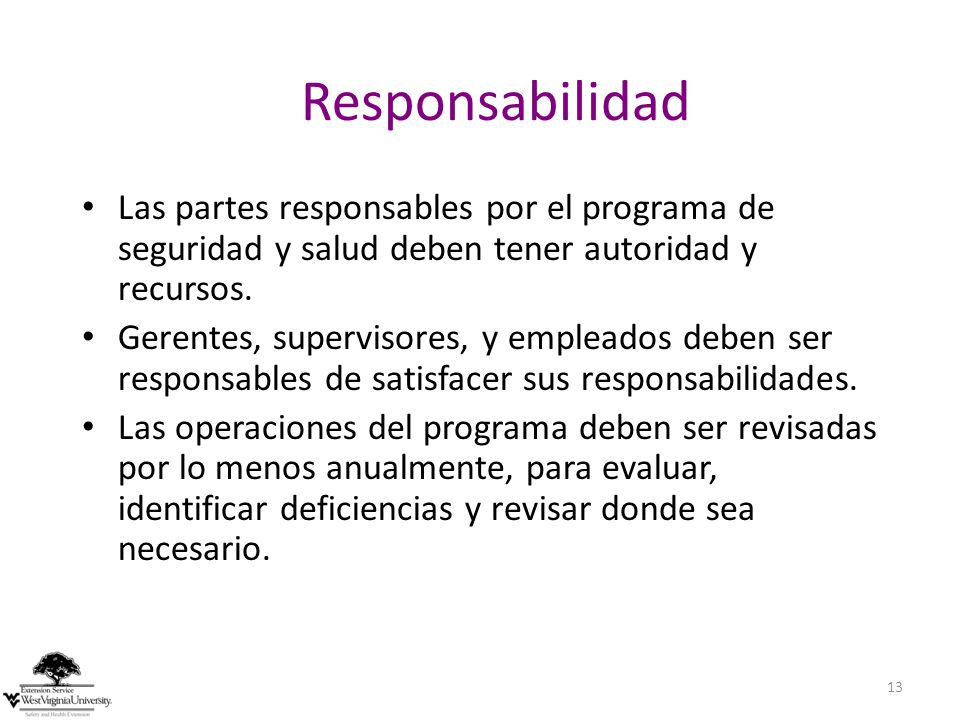 Responsabilidad Las partes responsables por el programa de seguridad y salud deben tener autoridad y recursos.