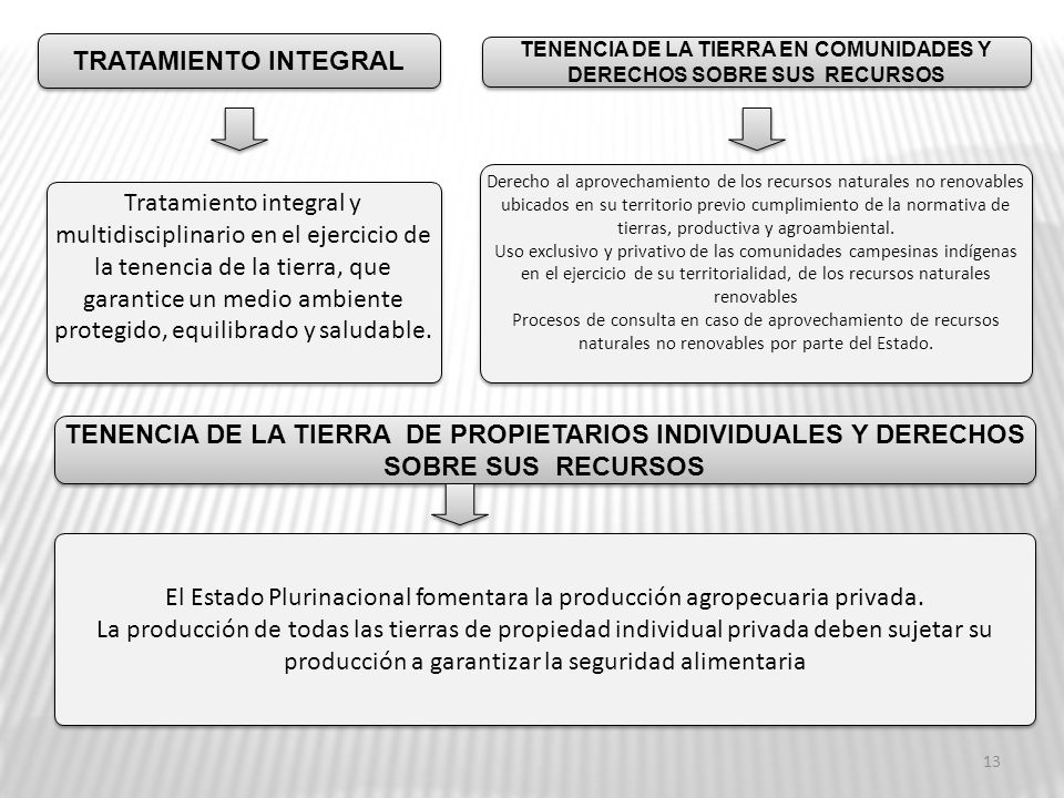 TENENCIA DE LA TIERRA EN COMUNIDADES Y DERECHOS SOBRE SUS RECURSOS