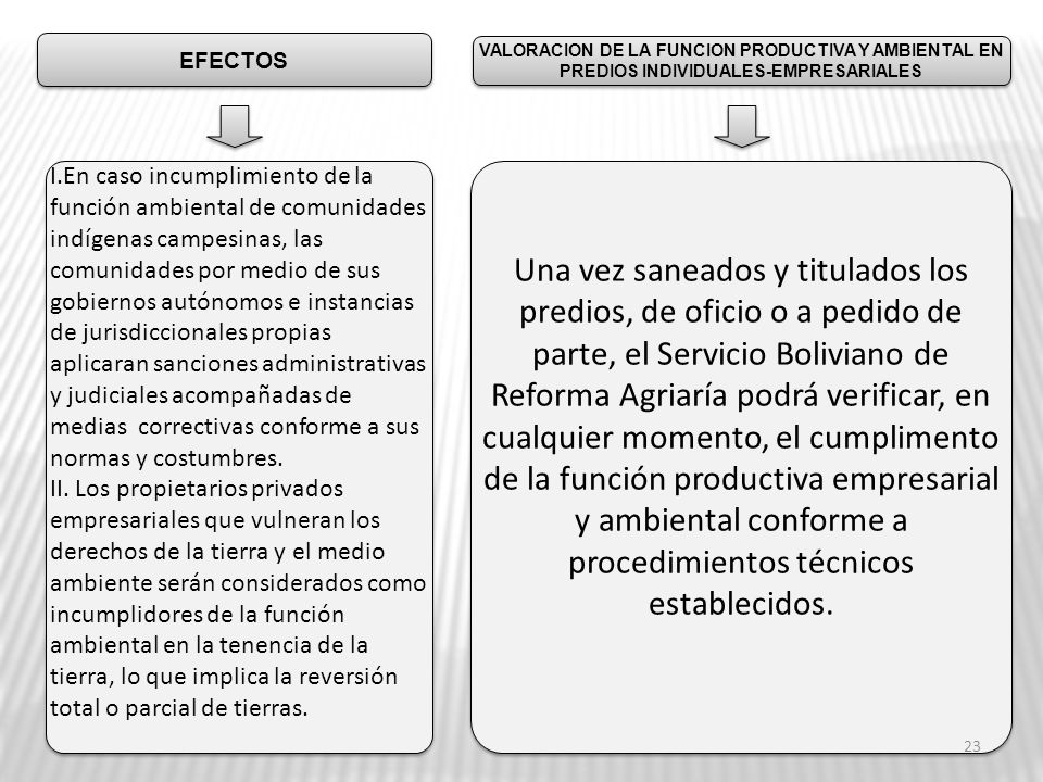 EFECTOS VALORACION DE LA FUNCION PRODUCTIVA Y AMBIENTAL EN PREDIOS INDIVIDUALES-EMPRESARIALES.