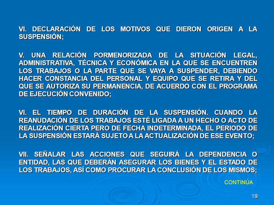 VI. DECLARACIÓN DE LOS MOTIVOS QUE DIERON ORIGEN A LA SUSPENSIÓN;