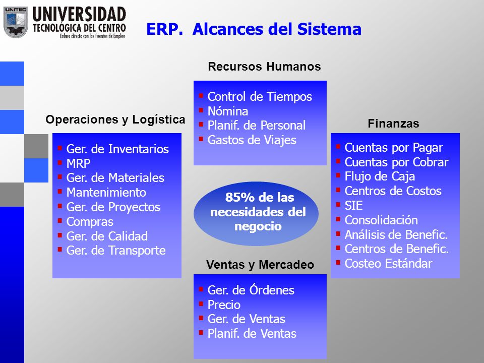 ERP. Alcances del Sistema