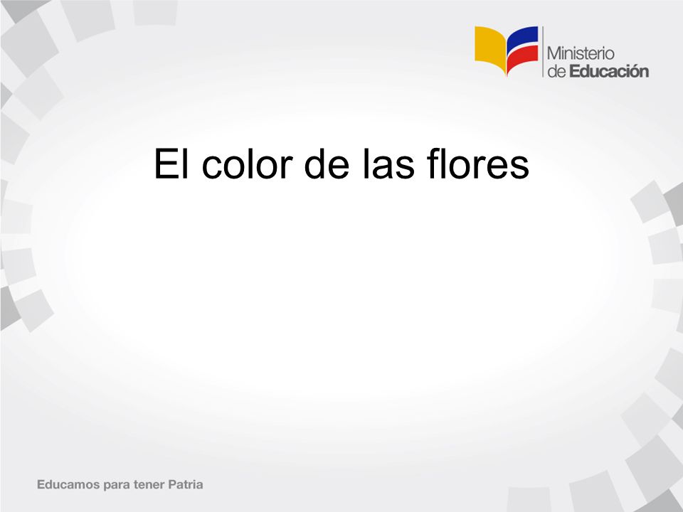 El color de las flores