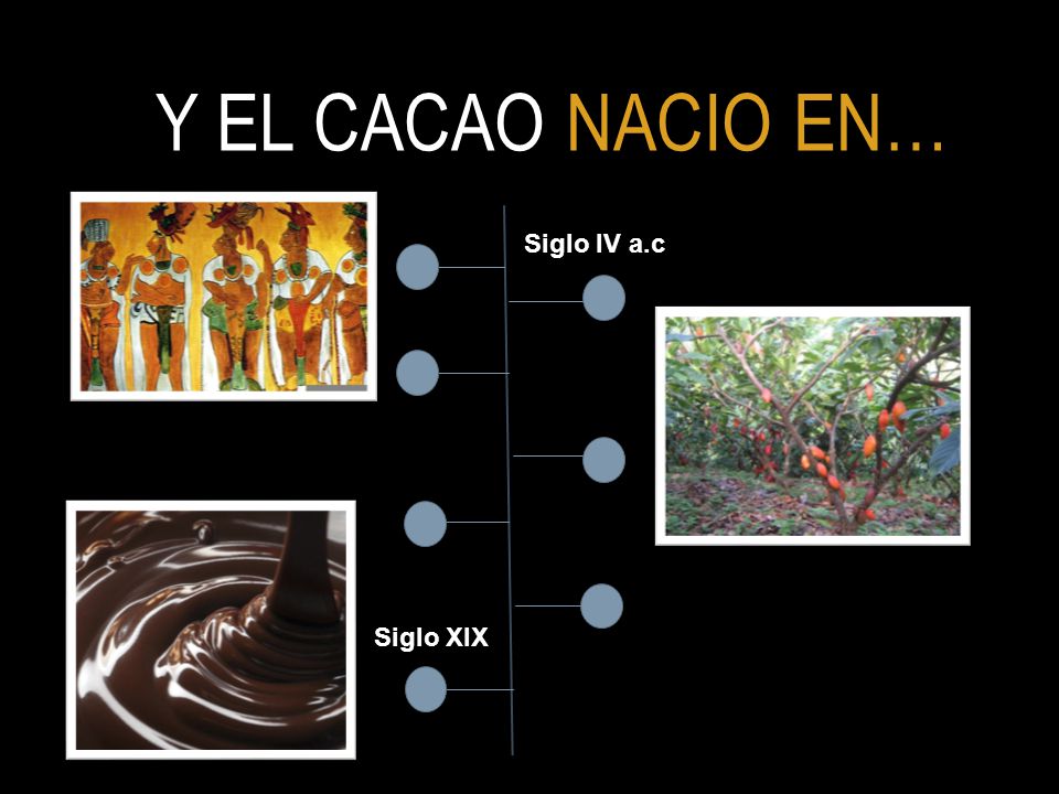 Y EL CACAO NACIO EN… Siglo IV a.c Siglo XIX