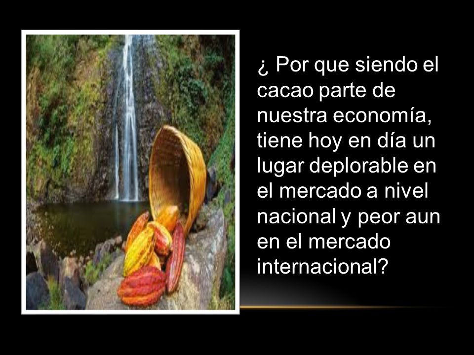 ¿ Por que siendo el cacao parte de nuestra economía, tiene hoy en día un lugar deplorable en el mercado a nivel nacional y peor aun en el mercado internacional