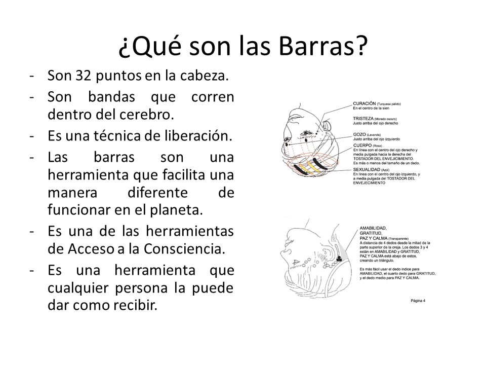 ¿Qué son las Barras Son 32 puntos en la cabeza.