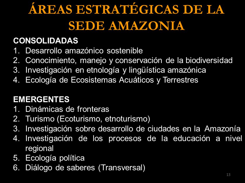 ÁREAS ESTRATÉGICAS DE LA SEDE AMAZONIA