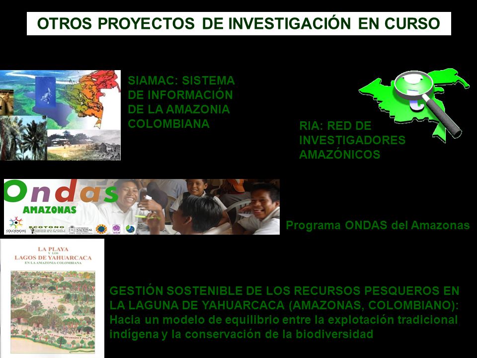 OTROS PROYECTOS DE INVESTIGACIÓN EN CURSO Programa ONDAS del Amazonas