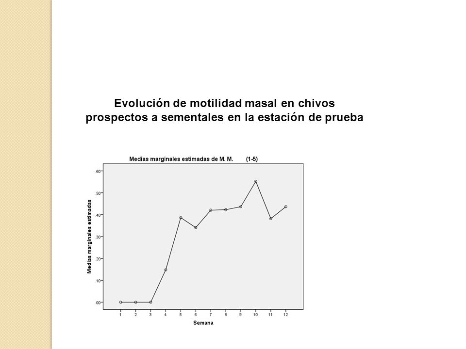 Evolución de motilidad masal en chivos prospectos a sementales en la estación de prueba