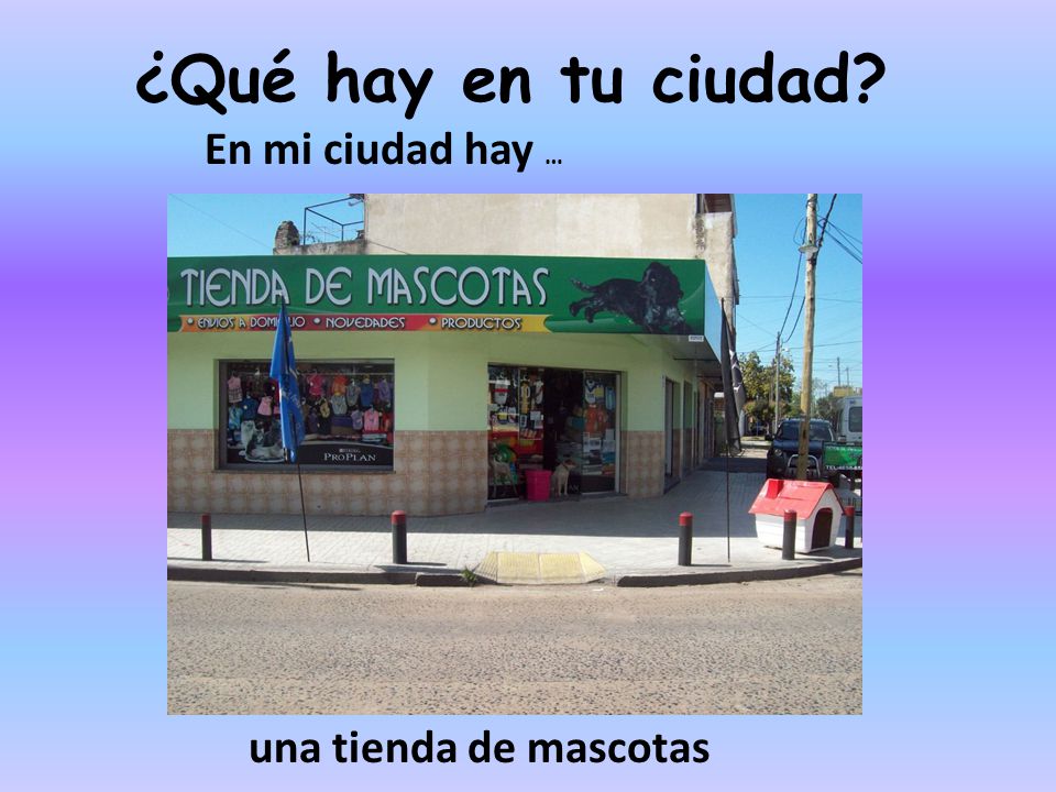 ¿Qué hay en tu ciudad En mi ciudad hay … una tienda de mascotas