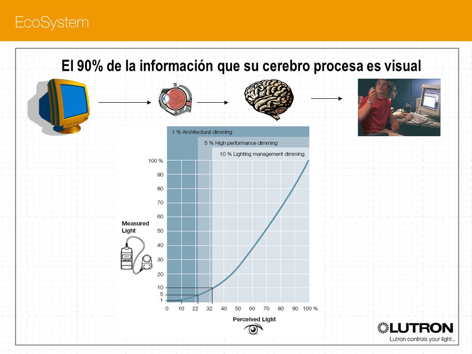 El 90% de la información que su cerebro procesa es visual