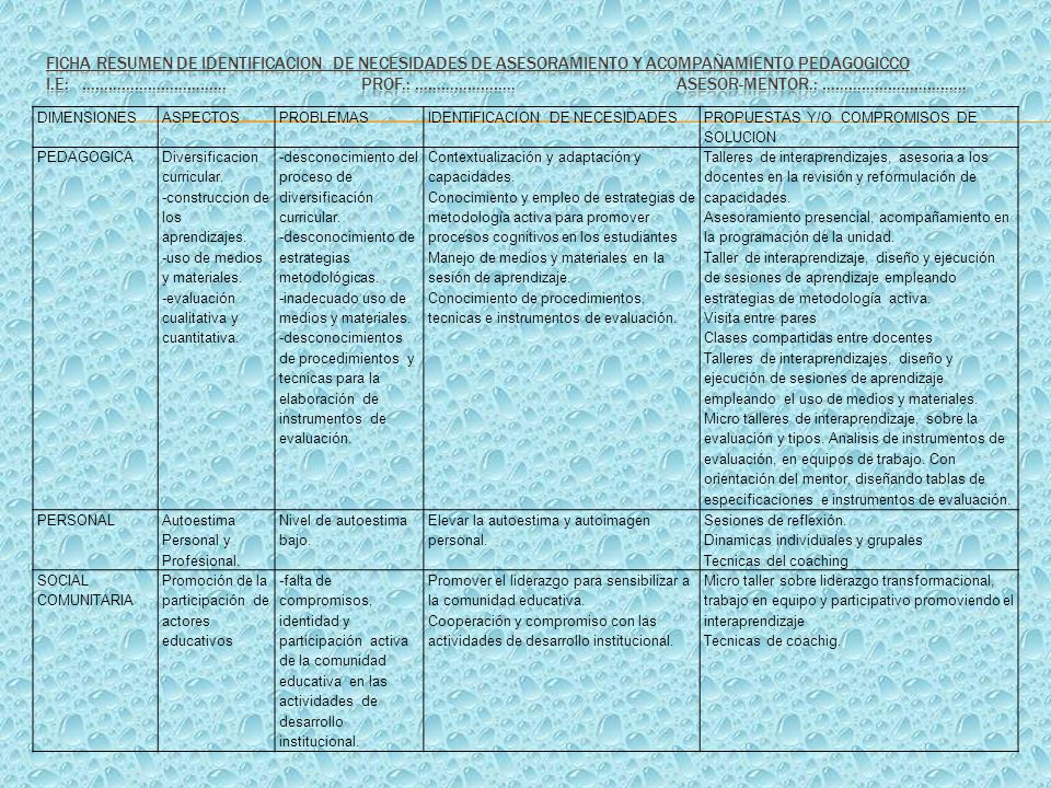FICHA RESUMEN DE IDENTIFICACION DE NECESIDADES DE ASESORAMIENTO Y ACOMPAÑAMIENTO PEDAGOGICCO I.E: …………………………… PROF.: ………………….. ASESOR-MENTOR.: …………………………...