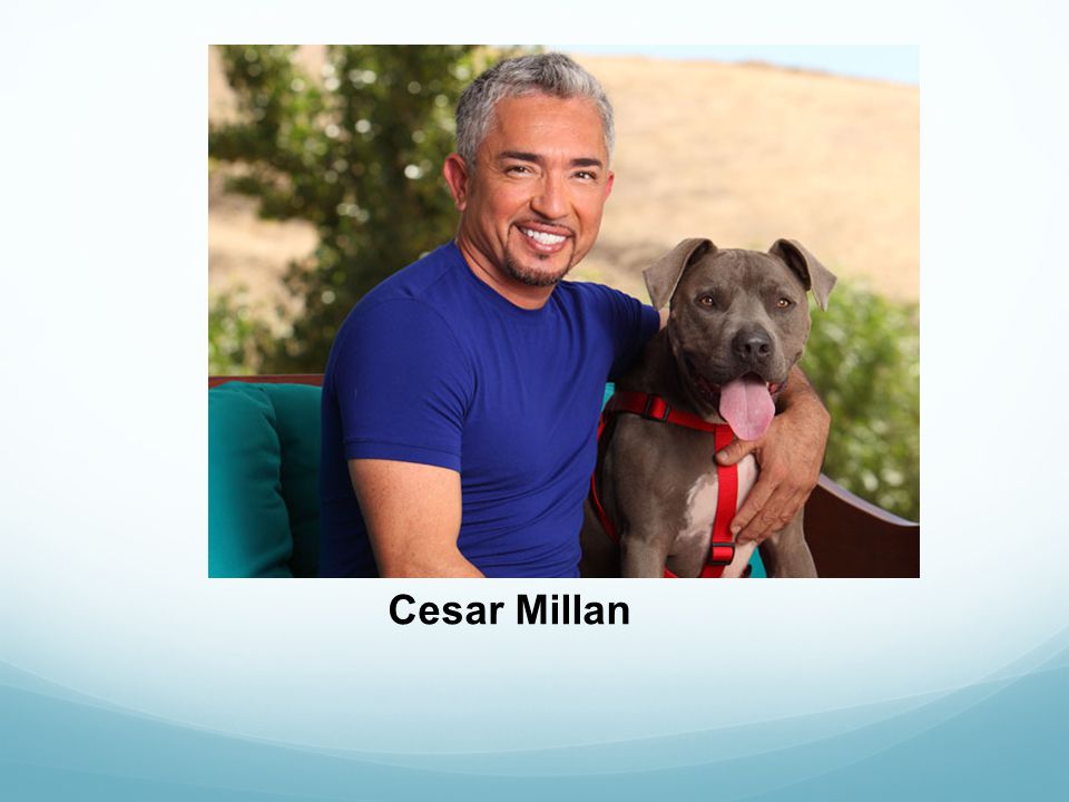 Cesar Millan