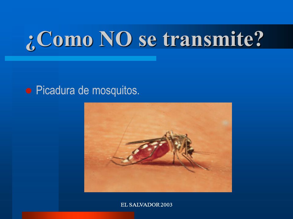 ¿Como NO se transmite Picadura de mosquitos. EL SALVADOR 2003