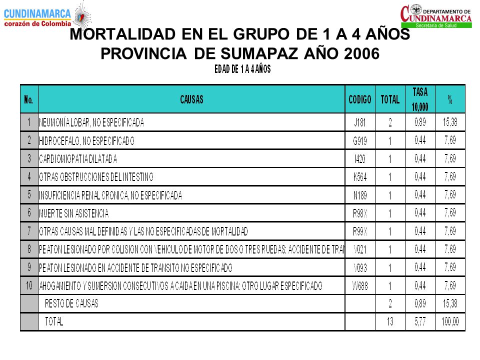 MORTALIDAD EN EL GRUPO DE 1 A 4 AÑOS PROVINCIA DE SUMAPAZ AÑO 2006