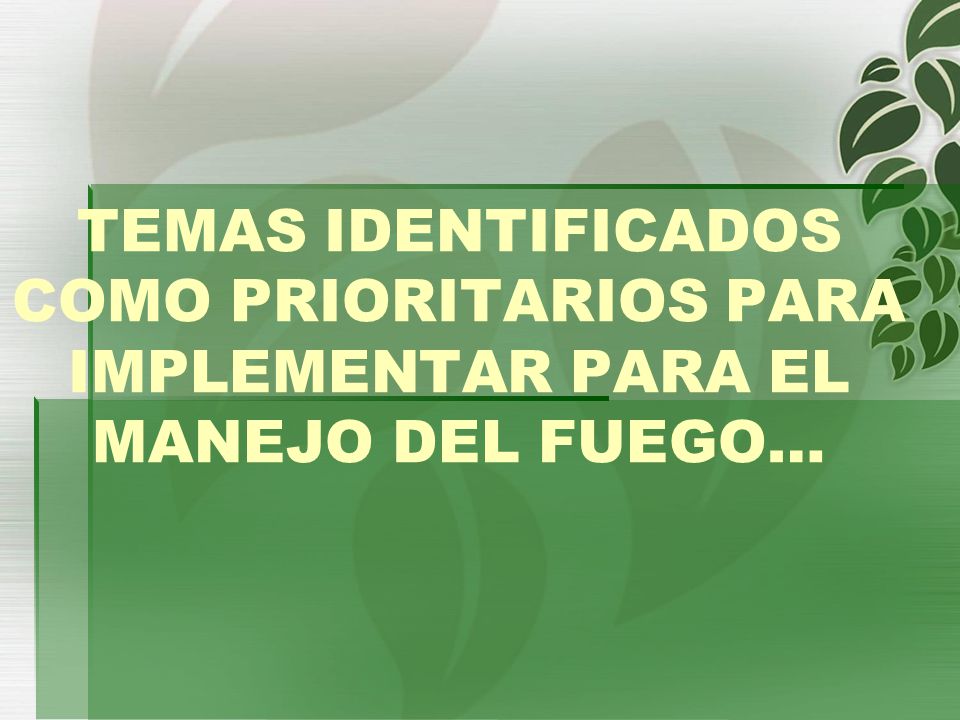 TEMAS IDENTIFICADOS COMO PRIORITARIOS PARA IMPLEMENTAR PARA EL MANEJO DEL FUEGO…