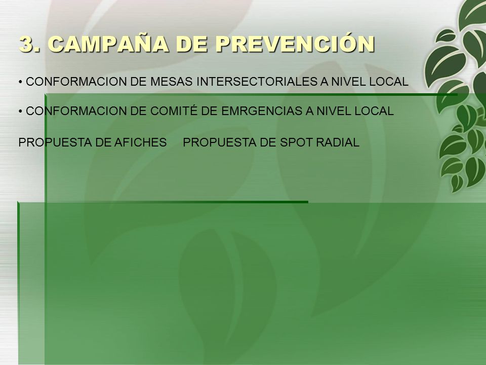 3. CAMPAÑA DE PREVENCIÓN CONFORMACION DE MESAS INTERSECTORIALES A NIVEL LOCAL. CONFORMACION DE COMITÉ DE EMRGENCIAS A NIVEL LOCAL.