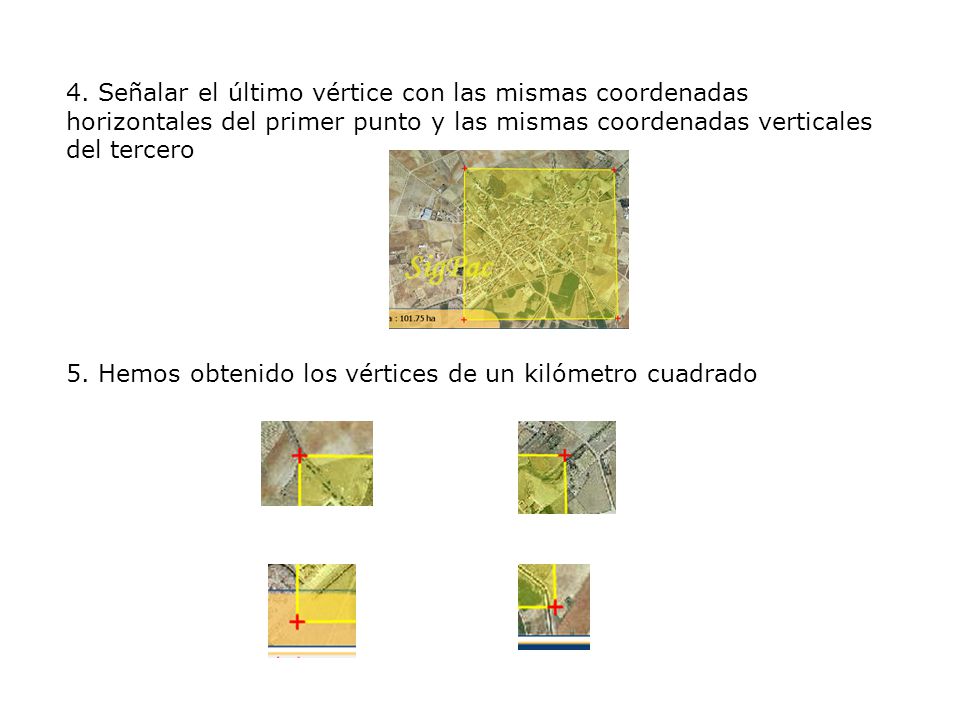 4. Señalar el último vértice con las mismas coordenadas horizontales del primer punto y las mismas coordenadas verticales del tercero