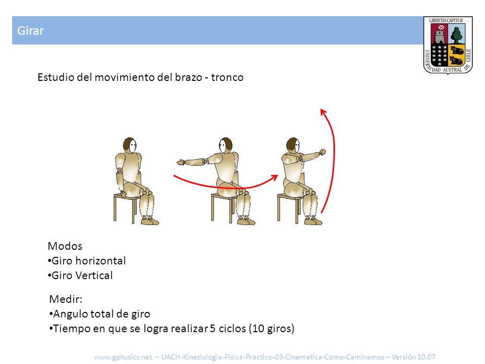 Girar Estudio del movimiento del brazo - tronco Modos Giro horizontal