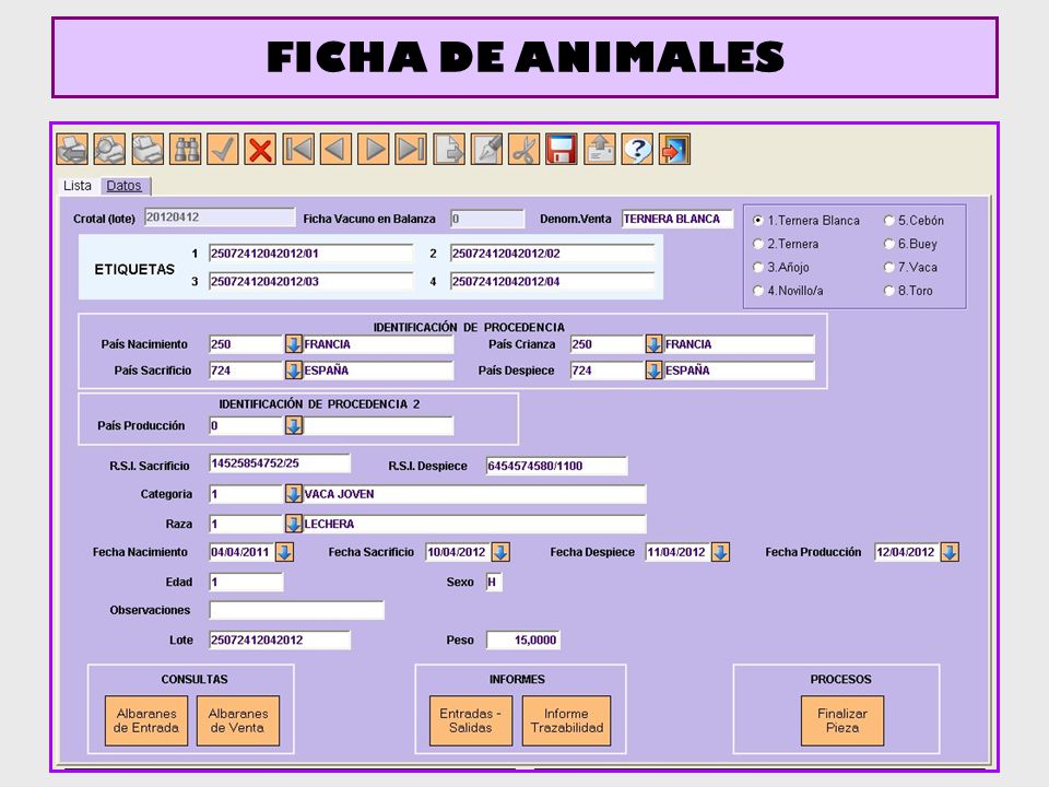FICHA DE ANIMALES