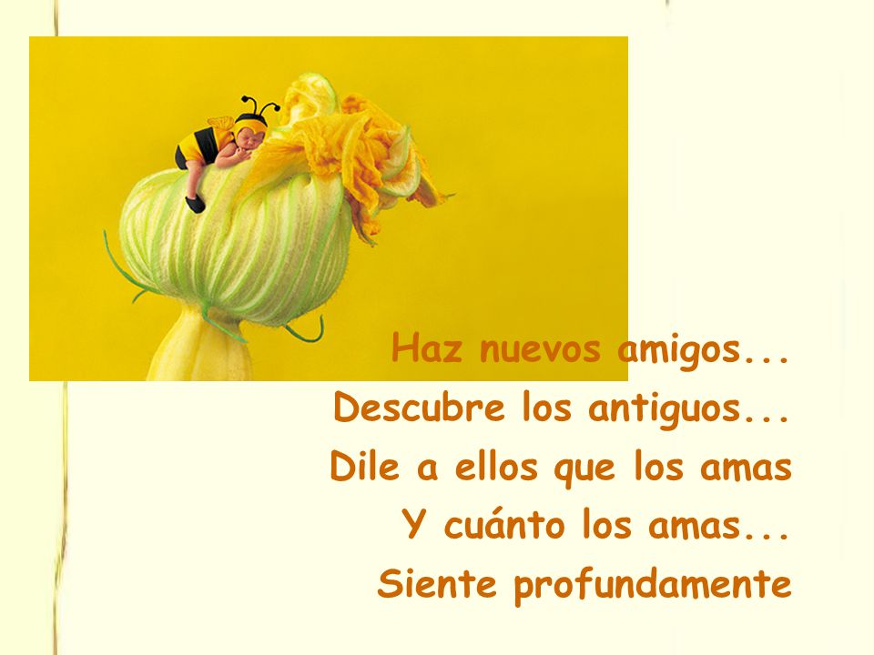 Haz nuevos amigos... Descubre los antiguos... Dile a ellos que los amas.