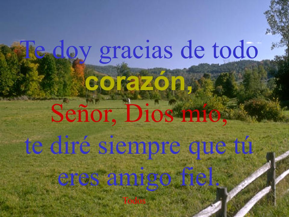 Te doy gracias de todo corazón, Señor, Dios mío,