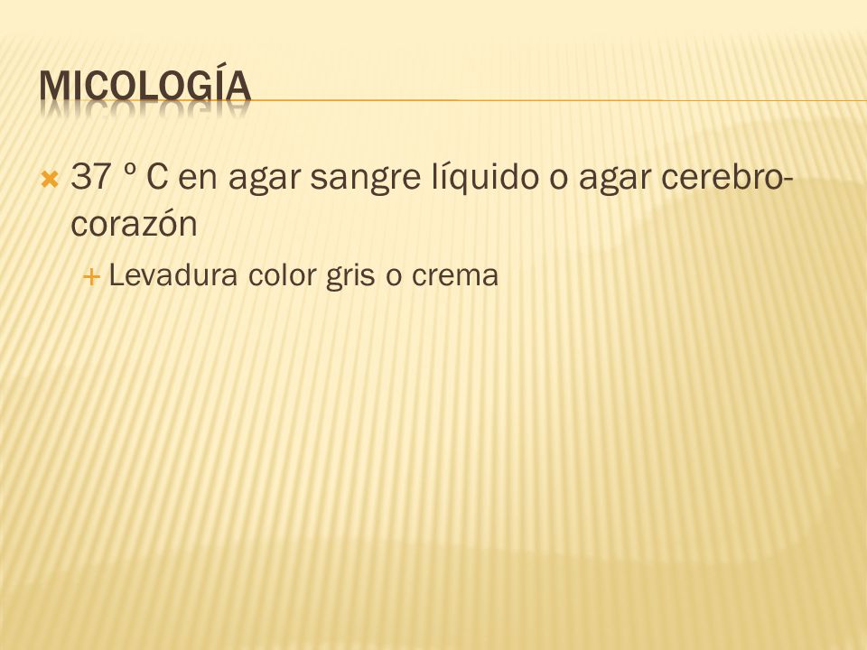 Micología 37 º C en agar sangre líquido o agar cerebro-corazón