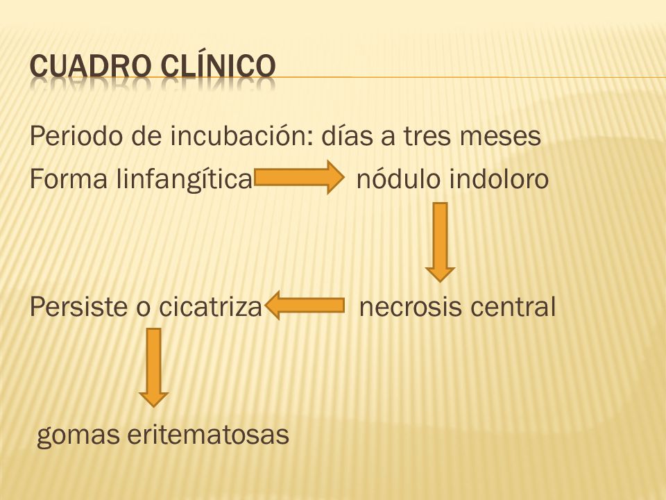 Cuadro clínico Periodo de incubación: días a tres meses Forma linfangítica nódulo indoloro Persiste o cicatriza necrosis central gomas eritematosas