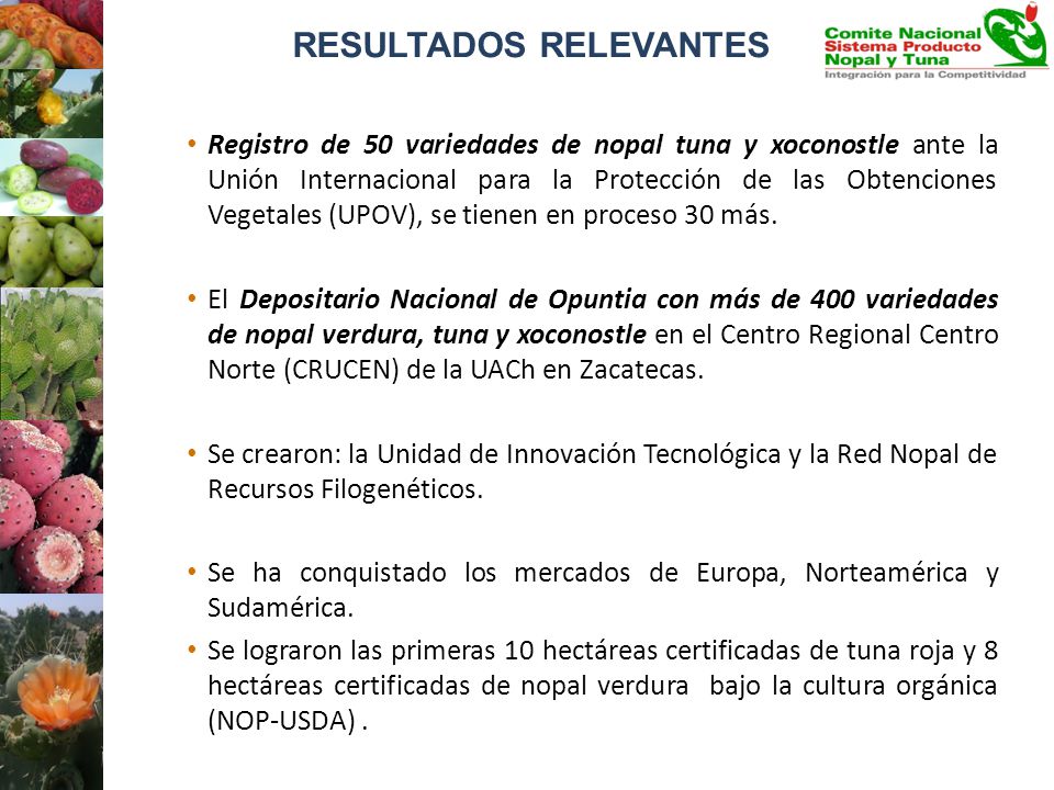 RESULTADOS RELEVANTES