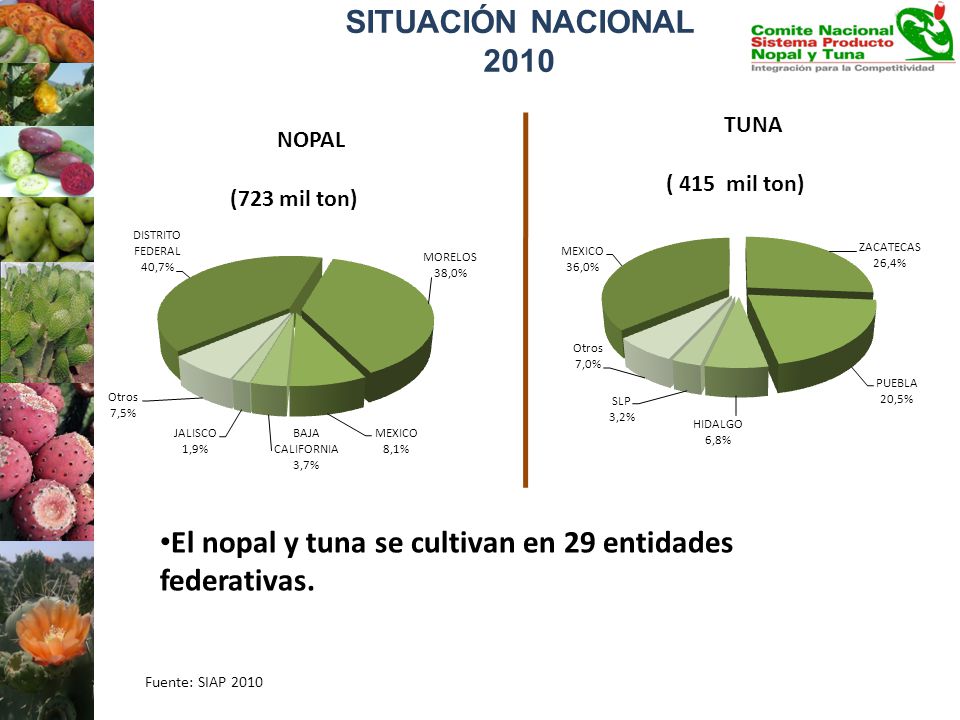 El nopal y tuna se cultivan en 29 entidades federativas.