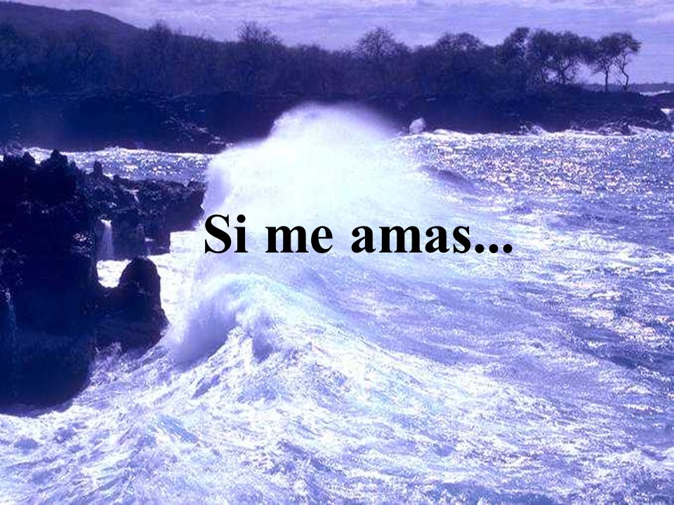 Si me amas... Si me amas... Enjuga tu llanto y no llores...