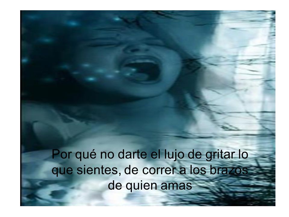 Por qué no darte el lujo de gritar lo que sientes, de correr a los brazos de quien amas