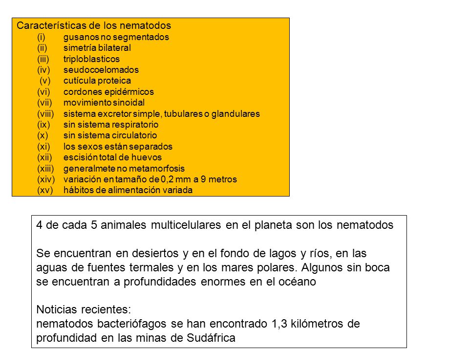 4 de cada 5 animales multicelulares en el planeta son los nematodos