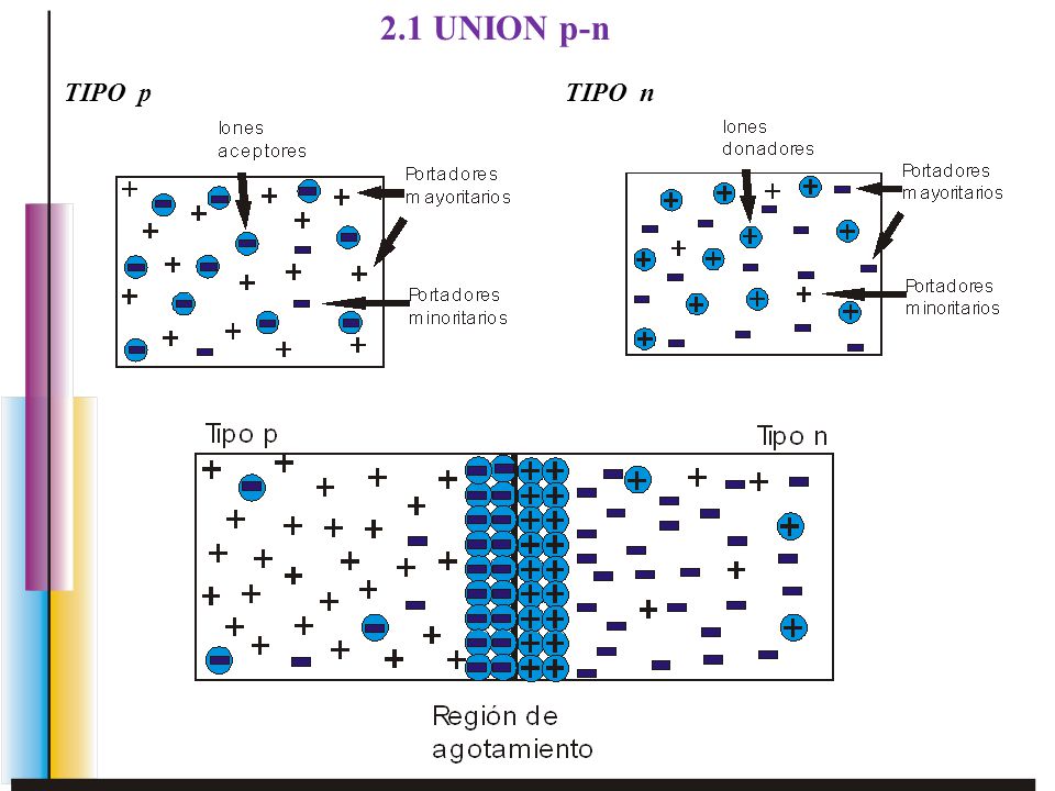 2.1 UNION p-n TIPO p. TIPO n.