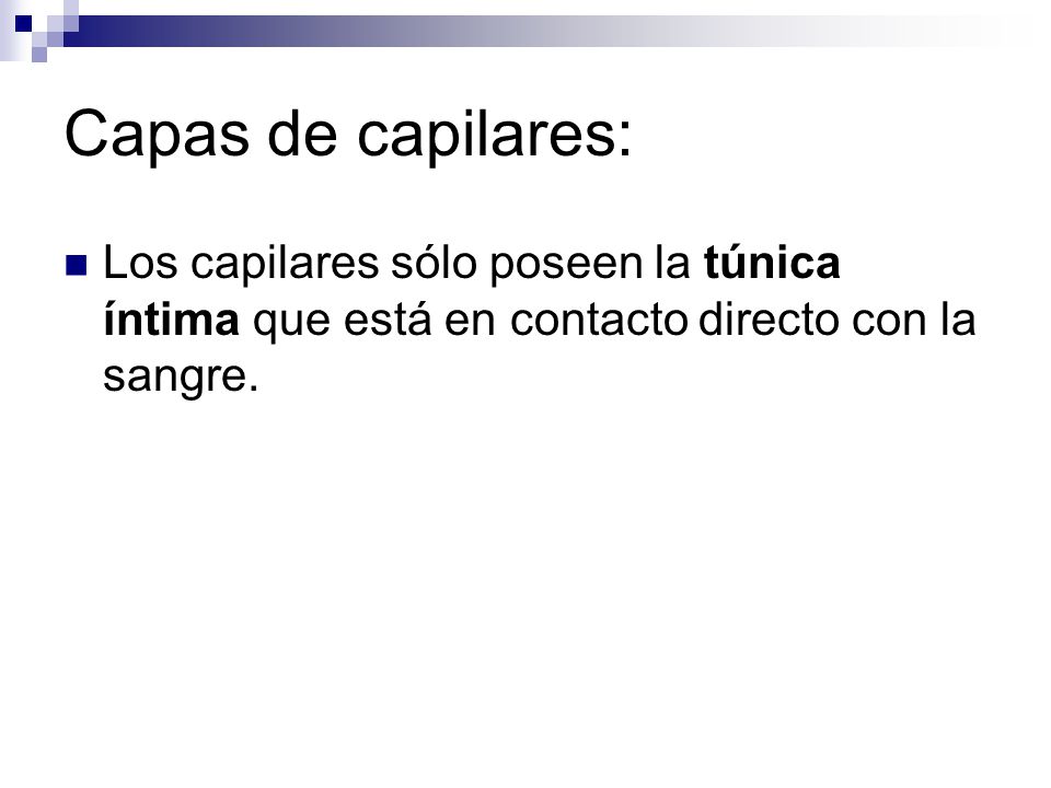 Capas de capilares: Los capilares sólo poseen la túnica íntima que está en contacto directo con la sangre.