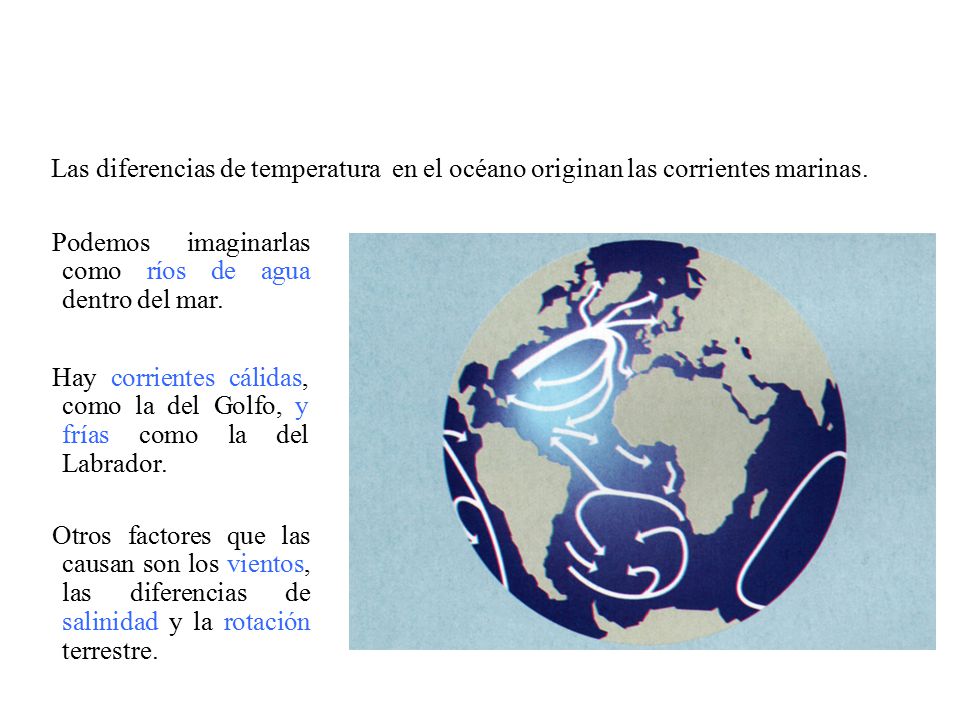 Las diferencias de temperatura en el océano originan las corrientes marinas.