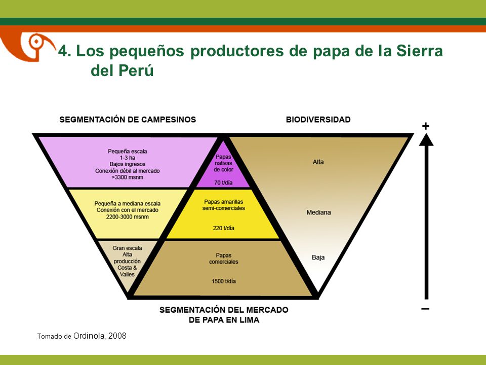 4. Los pequeños productores de papa de la Sierra del Perú