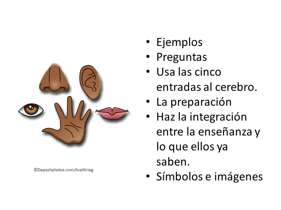 Usa las cinco entradas al cerebro. La preparación
