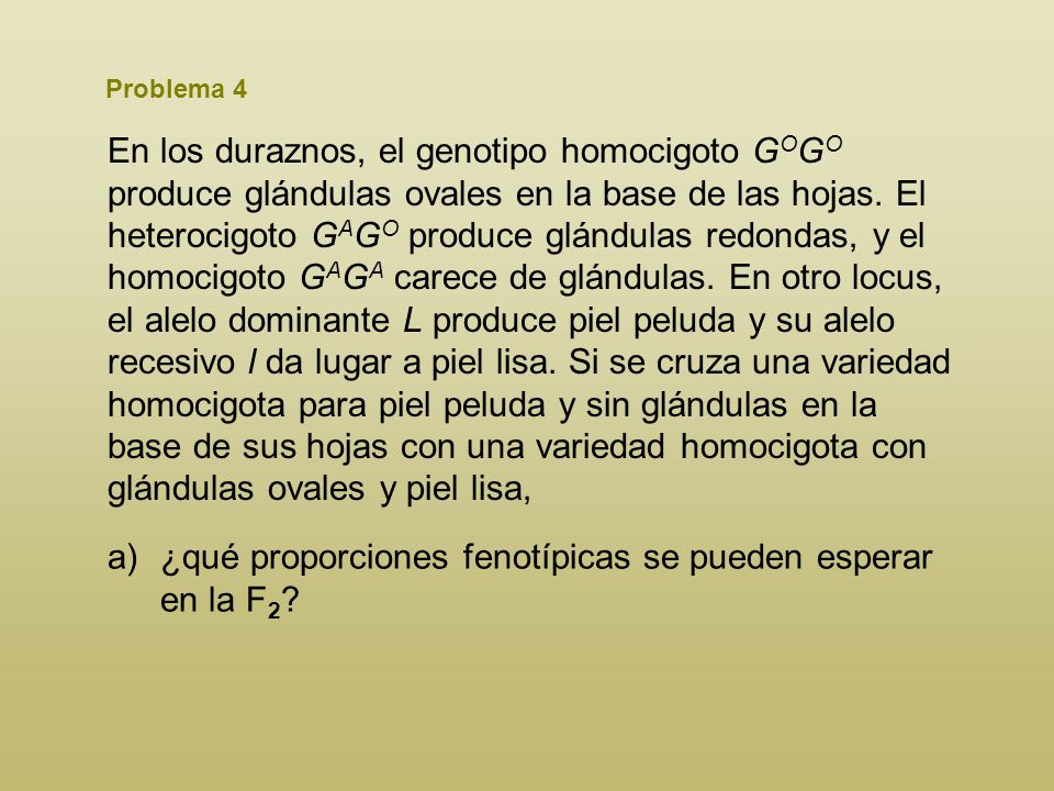 ¿qué proporciones fenotípicas se pueden esperar en la F2
