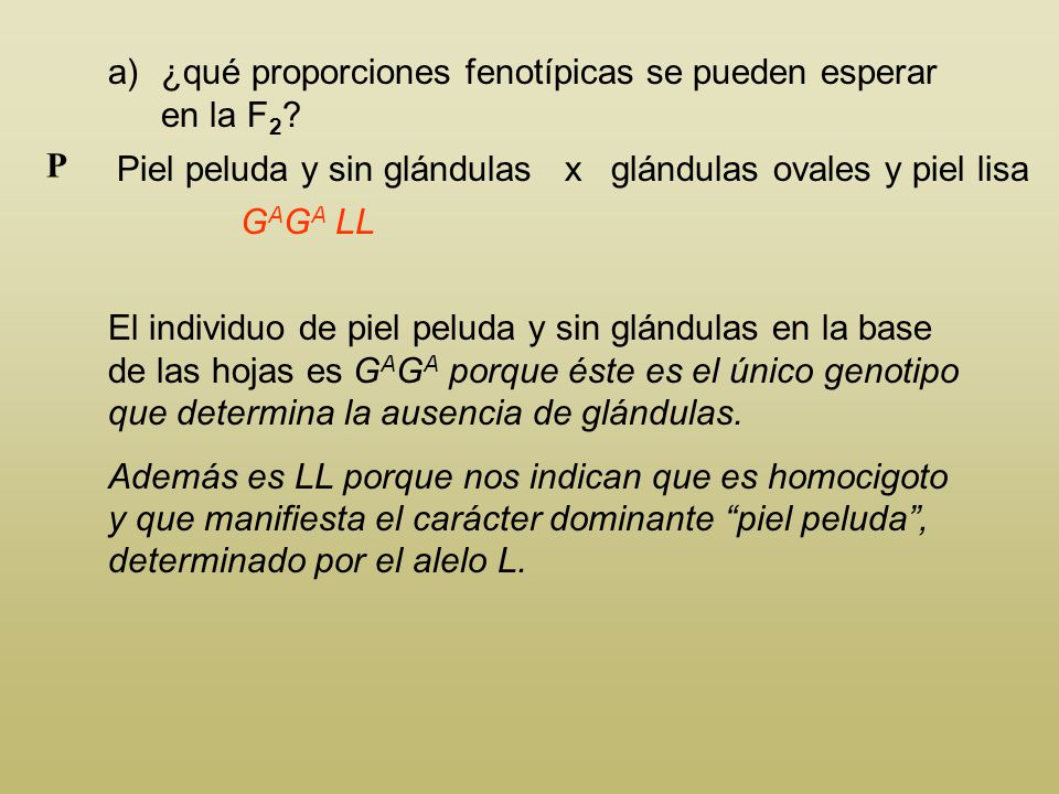 ¿qué proporciones fenotípicas se pueden esperar en la F2