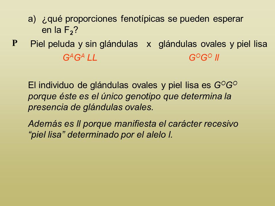 ¿qué proporciones fenotípicas se pueden esperar en la F2