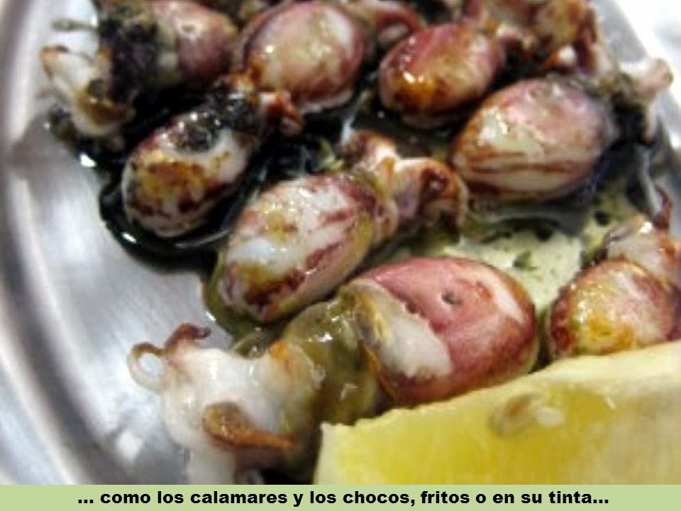 ... como los calamares y los chocos, fritos o en su tinta...