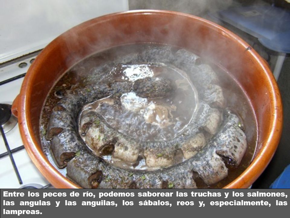 Entre los peces de río, podemos saborear las truchas y los salmones, las angulas y las anguilas, los sábalos, reos y, especialmente, las lampreas.