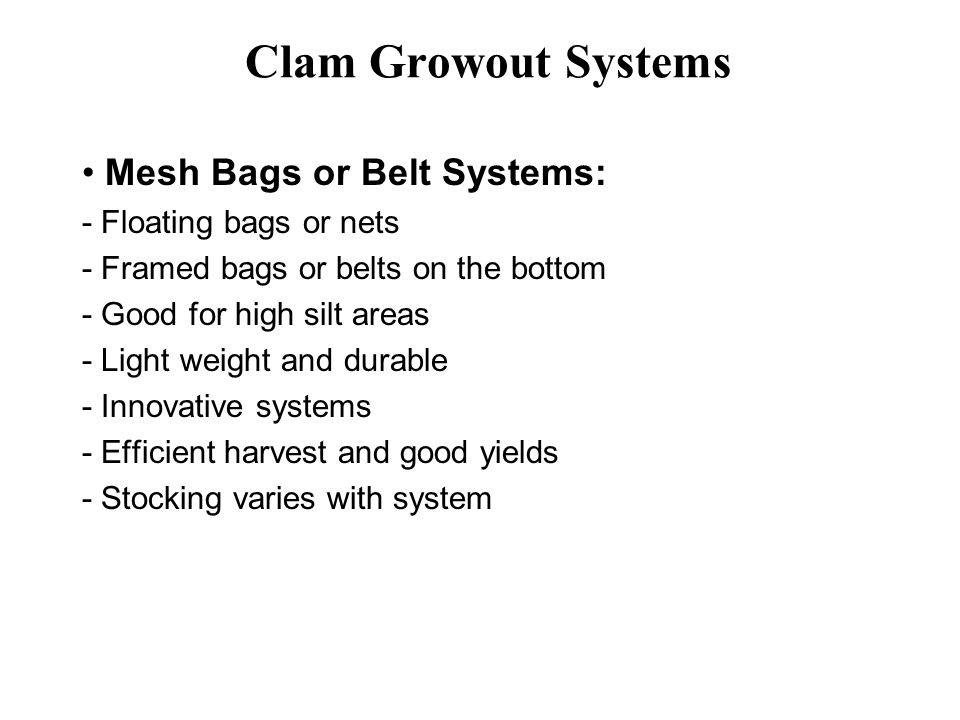 Clam Growout Systems • Mesh Bags or Belt Systems:
