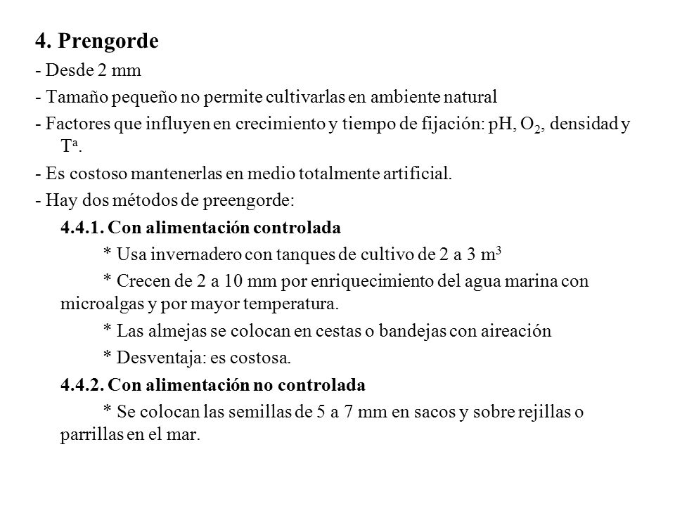 4. Prengorde - Desde 2 mm. - Tamaño pequeño no permite cultivarlas en ambiente natural.
