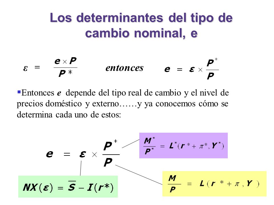 Los determinantes del tipo de cambio nominal, e